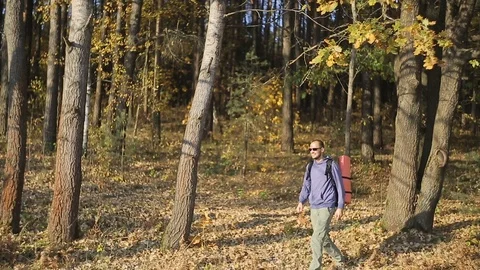 Man tourist with backpack behind, walking through the woods Видео 96750022