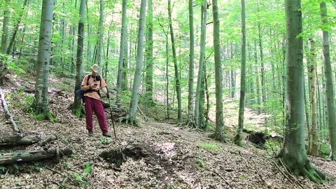 Man tourist with backpack using smartphone in forest Stock Footage 77891255