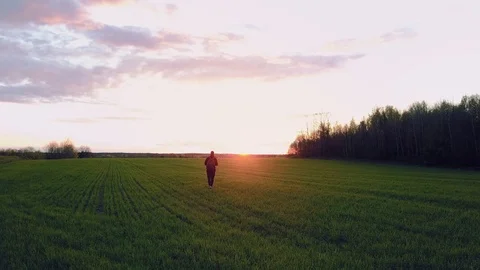 Man tourist with backpack is walking across the field during sunset. Beautiful Stock Footage 95299056