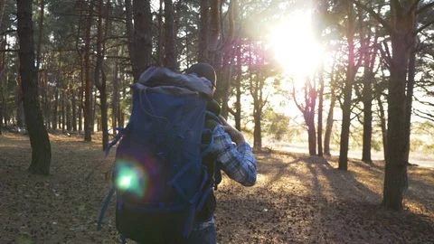 A man, a tourist with a backpack is walking through a pine forest at sunset. The Stock Footage 128752350