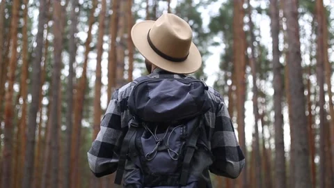 Man tourist with a backpack while hiking in the forest or mountains. Hiking Stock Footage 149946591