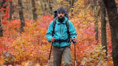 Man tourist in a blue jacket with a backpack goes in the autumn forest Stock Footage 56251177