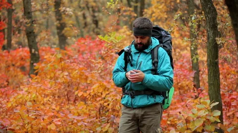 Man tourist in a blue jacket with a backpack uses smartphone in the forest Stock Footage 56252673
