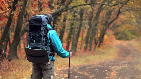 Man tourist in a blue jacket with a backpack goes in the autumn forest Stock Footage 56253357