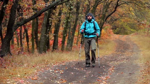 Man tourist in a blue jacket with a backpack goes in the autumn forest Stock Footage 56253363