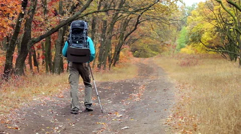 Man tourist in a blue jacket with a backpack goes in the autumn forest Stock Footage 56253720