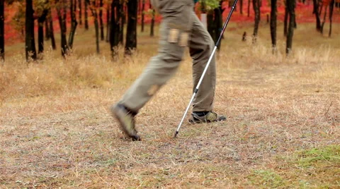 Man tourist in a blue jacket with a backpack goes in the autumn forest Stock Footage 56254600