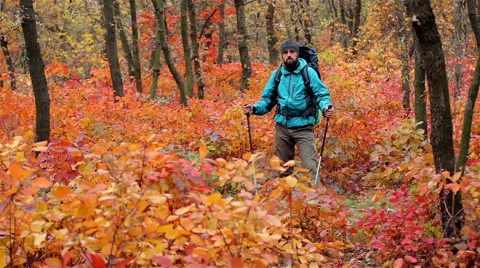 Man tourist in a blue jacket with a backpack looks around Stock Footage 56254859