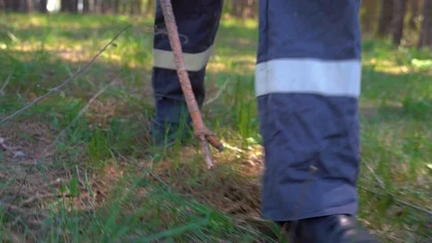 Man tourist goes with a backpack in the pine forest Stock Footage 108276590