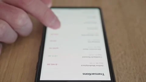 Man tracking personal expenses, digital payments, and budget history Stock Footage 337998252