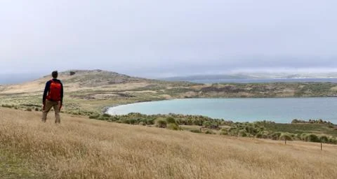 Man tracking in rough and windy grass landscape on island, Falkland Islands Stock Photos