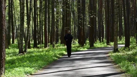 A man in a tracksuit jogging in a forest park in the summer morning Stock Footage 132283921