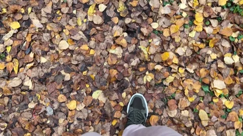 A man in a tracksuit walks through the forest, top view Stock-Footage 254557069