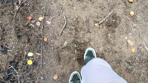 A man in a tracksuit walks through the forest, top view Видео 254557121
