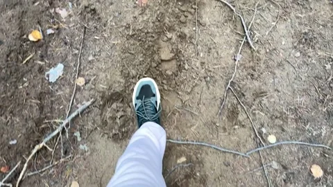 A man in a tracksuit walks through the forest, top view Видео 254557164