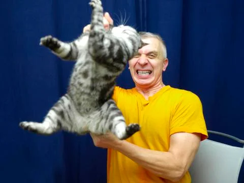 Man training cat 写真素材