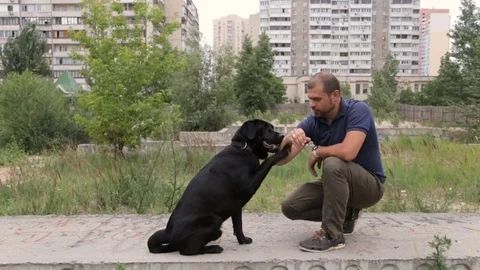 A man is training his dog Stock Footage
