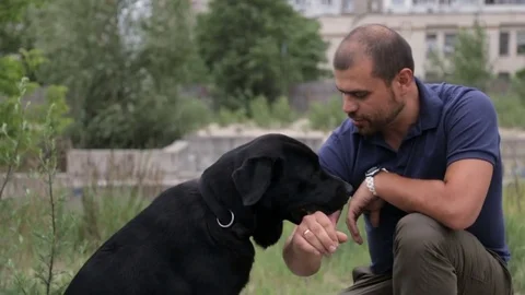A man is training his dog Stock Footage 77044158