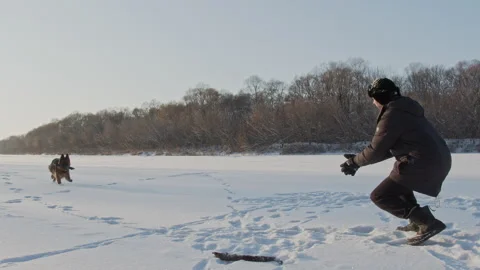Man training a large German shepherd in nature in winter. Stock Footage 147383391