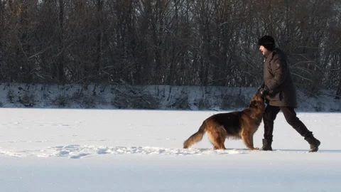 Man training a large German shepherd in nature in winter. Trainer teaches the Stock Footage 194961717