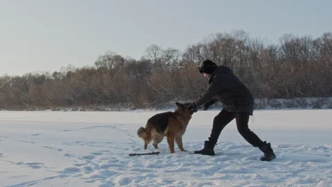 Man training a large German shepherd in nature in winter. Trainer teaches t.. Stock Footage 229775158