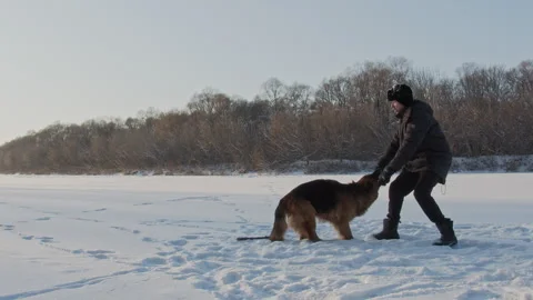 Man training a large German shepherd in nature in winter. Stock Footage 303047324