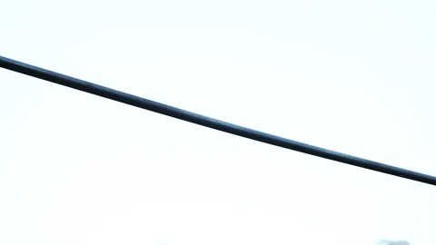 Man trains on the bar Stock Footage 98994863