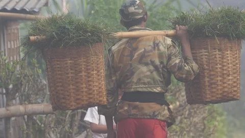 Man transporting harvest with double basket, Burma in slow motion Stock Footage 95194106