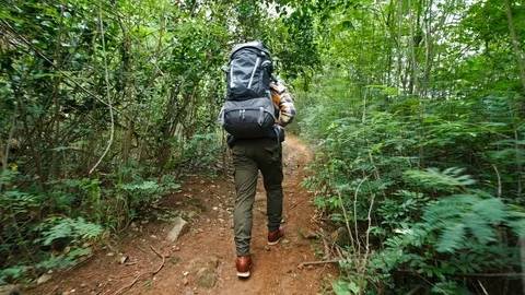 Man traveler with backpack and map in the natural forest Video stock 128189540
