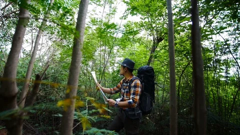 Man traveler with backpack and map searching directions in the natural forest Stock Footage 128199169