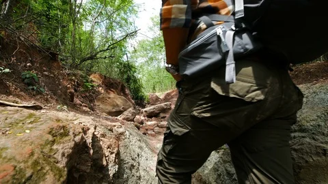 Man traveler with backpack and map in the natural forest Stock Footage 128210424