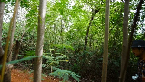 Man traveler with backpack and map searching directions in the natural forest Video stock 129890989