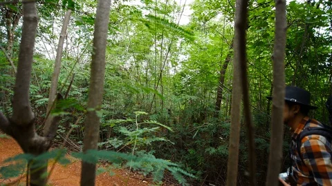 Man traveler with backpack using smartphone in the natural forest Stock-Footage 128205541