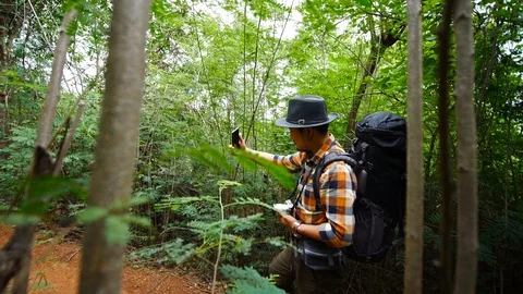 Man traveler with backpack using smartphone to taking a selfie in the natural fo Stock Footage 128206831