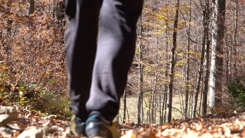 A man travels in the mountains in the fall. Stockbeeldmateriaal 101391176