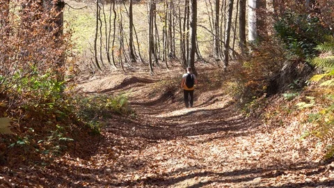 A man travels in the mountains in the fall. Video stock 101391895