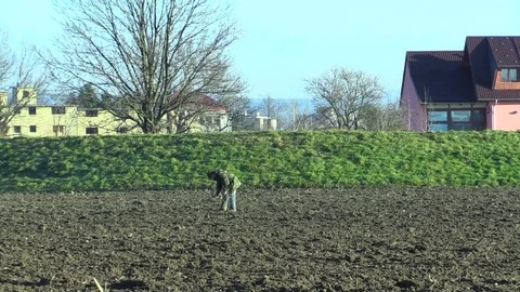 Man treasure hunter looking with a depth detector of metals in the field Stock Footage 83783810