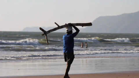 Man with tree branch on the beach Video stock 37345948