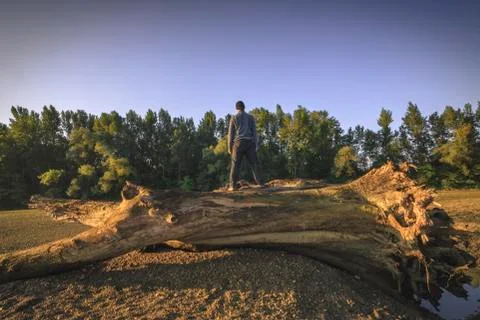 A man on a tree trunk Fotos Stock