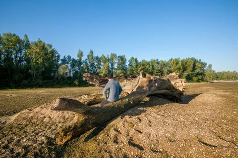 A man on a tree trunk Fotos Stock