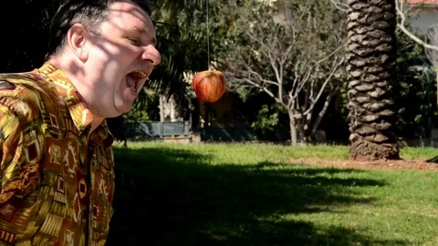 Man tries to bite hanging apple Video stock 73382183