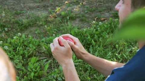 A man tries to divide the red apple Stockbeeldmateriaal 78102260