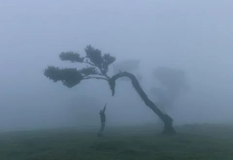 A man tries to touch the tree Stock Photos