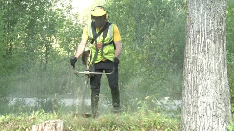 The man with the trimmer moving overgrown grass. Video stock 55812907