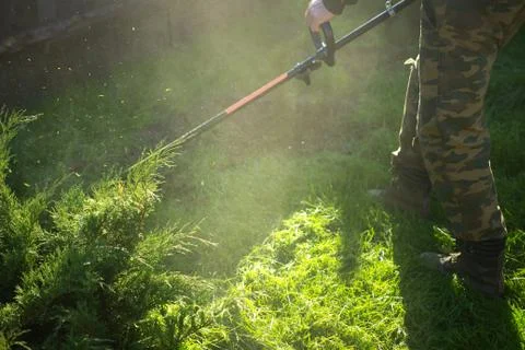 Man with trimmer mows grass in yard Stock Photos