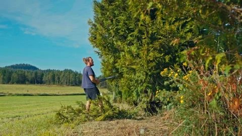 A Man is Trimming Branches From a Large Tree in a Grassy Field - Medium Shot Vidéo 336626130