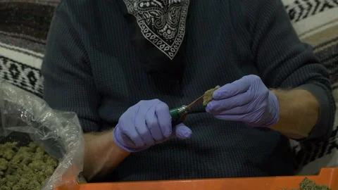 Man trimming chunks of marijuana with secateurs. 스톡 동영상 88035160