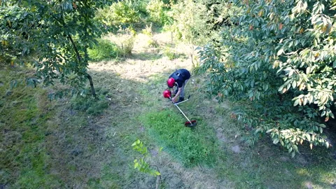Man trimming fresh grass using brush cutter in garden Stock Footage 164414632
