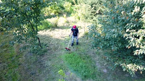 Man trimming fresh grass using brush cutter in garden Stock Footage 164456882