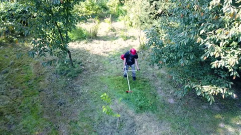 Man trimming fresh grass using brush cutter in garden Stock Footage 164457074